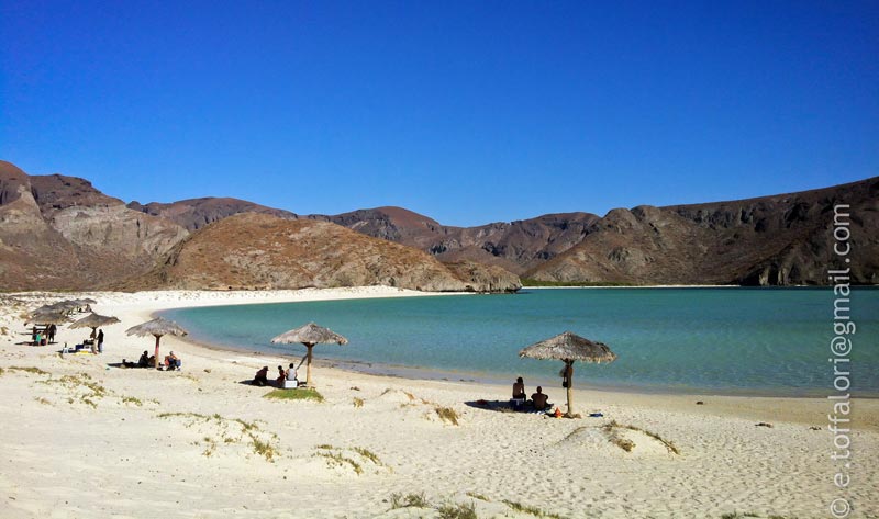 Playa-Balandra-La-Paz