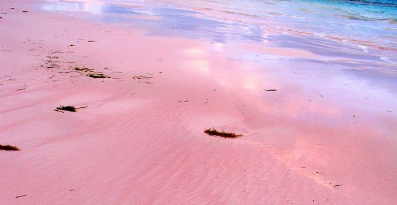 spiaggia rosa 3