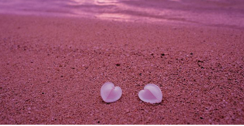 spiaggia rosa 8