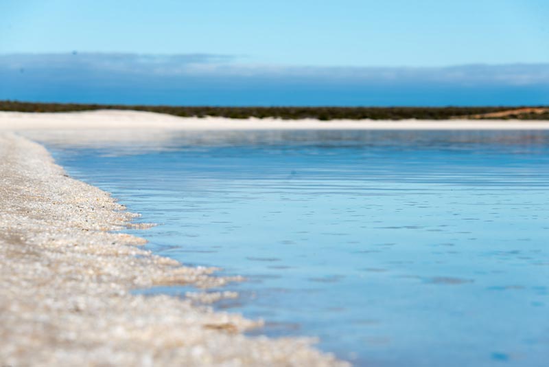 Shell-Beach-Australia-(1)